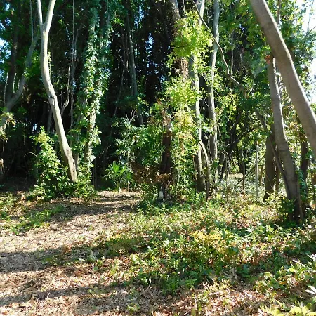 Appartamento Con Piscina Immersa Nel Verde Cascina Exterior photo