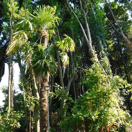 Appartamento Con Piscina Immersa Nel Verde Cascina Exterior photo