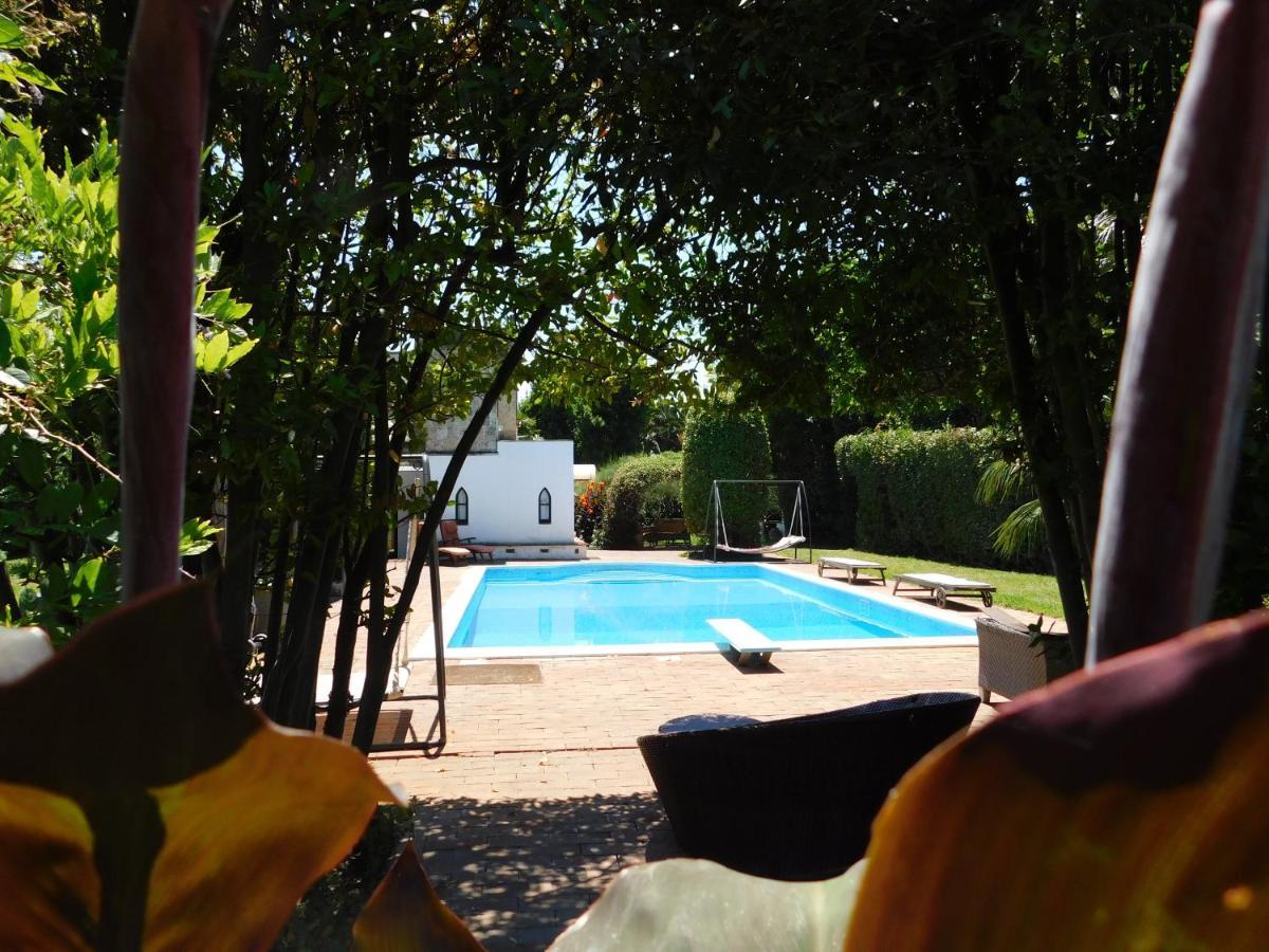 Con Piscina Immersa Nel Cascina