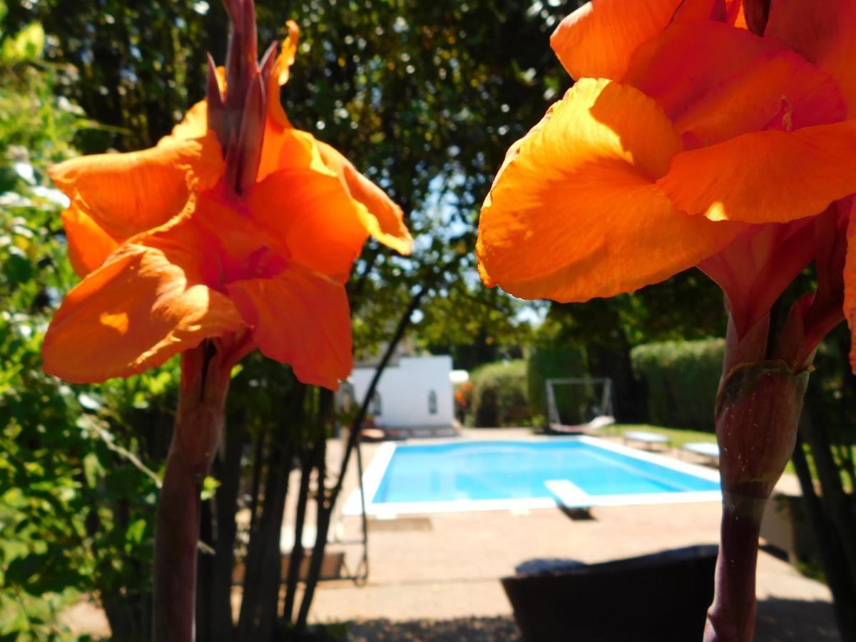 Con Piscina Immersa Nel *